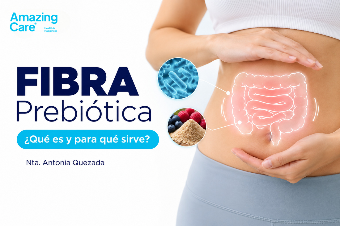 FIBRA PREBIÓTICA: Qué es, para que sirve y porqué tu intestino la ama