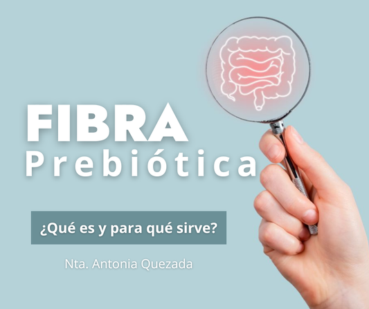 FIBRA PREBIÓTICA: Qué es, para que sirve y porqué tu intestino la ama