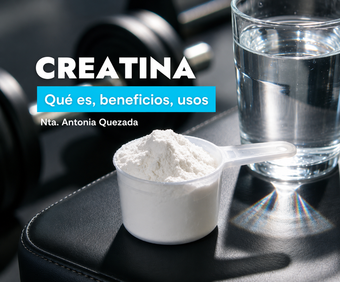 suplementos-creatina-amazingcare-deportes-rendimiento
